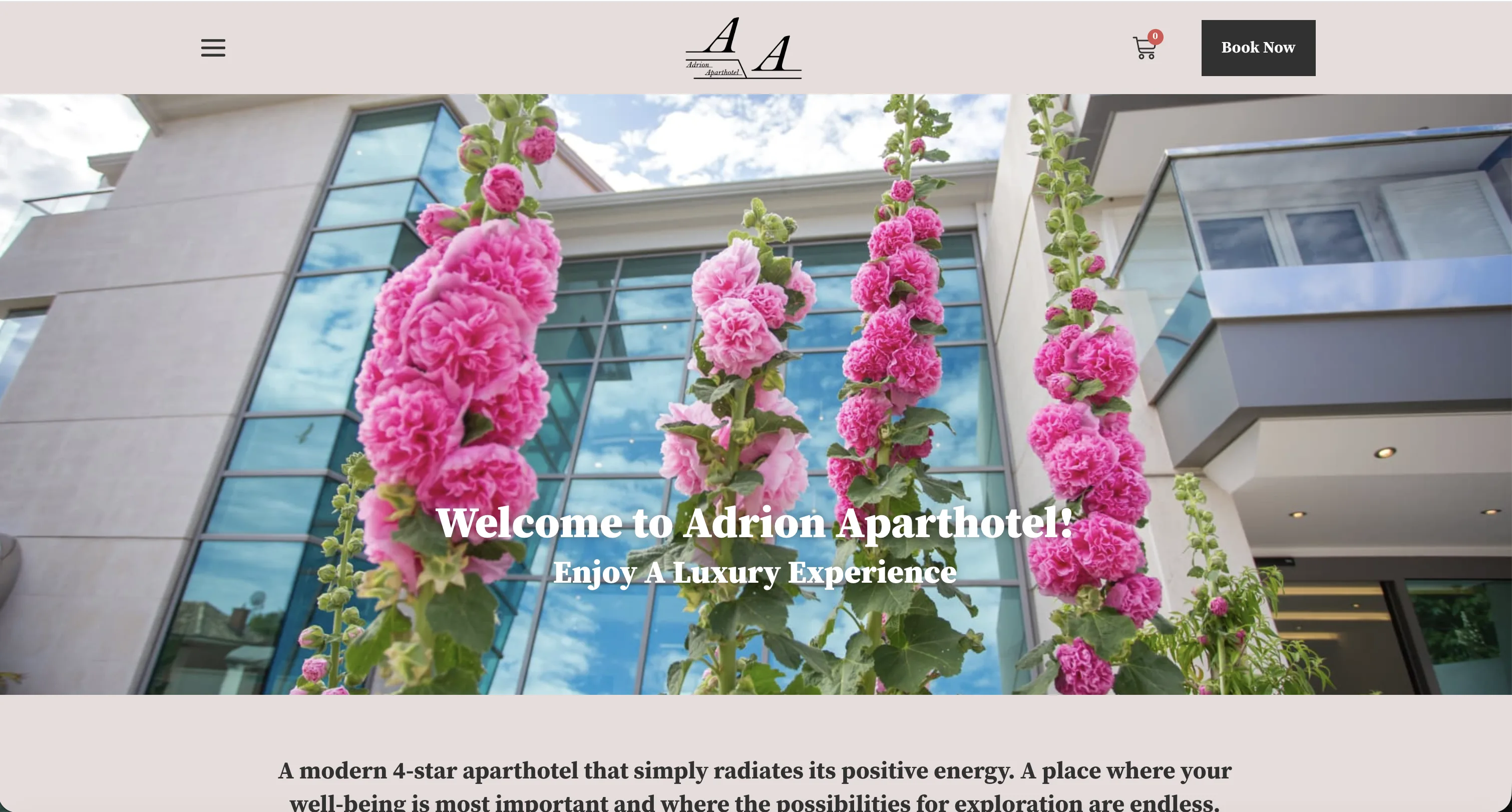 Website before rebuild